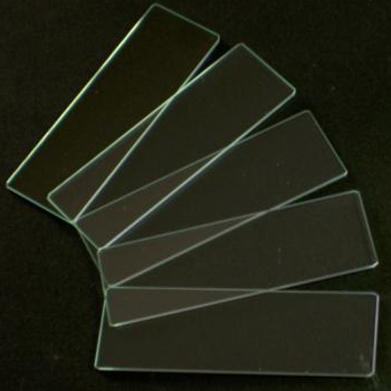 Plain Microscope Slides