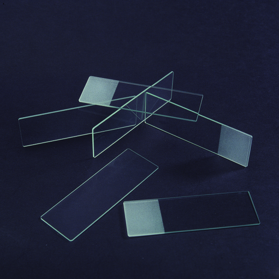 Single Frosted Microscope Slides